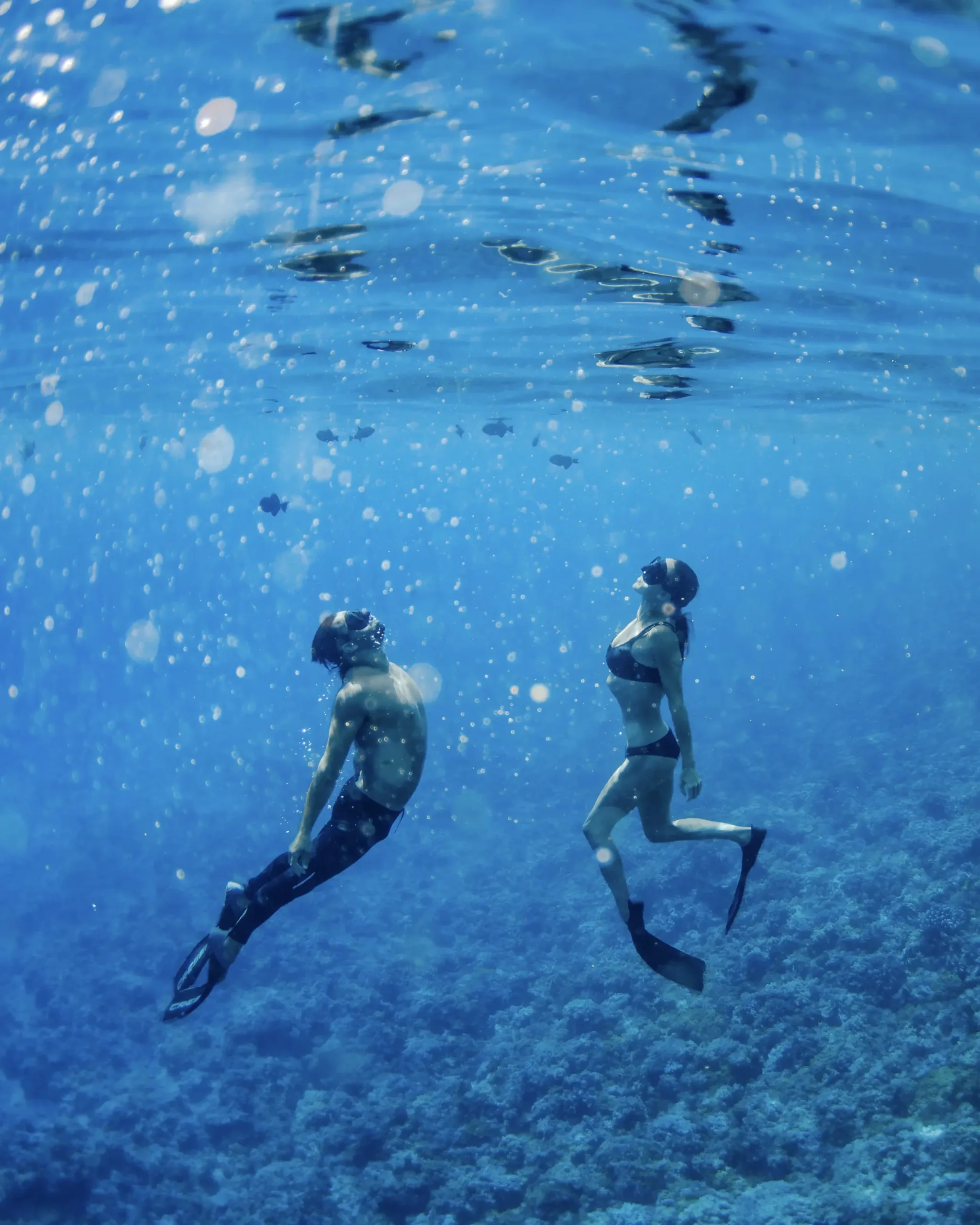 Craig Juta Diving v1